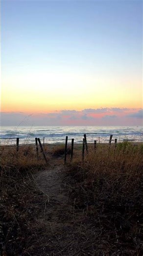 Calm Sea at Sunset with Soft Waves | Relaxing Nature Shorts