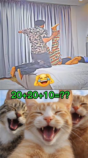 Only 1% Can Solve This! 🤯 20+20+10 = ?? | Funny Cat Reaction Challenge
