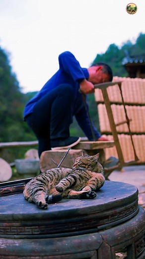 The King of Traditional Instruments: The Suona | Rural Life 2025 Description : Of all musical instruments, the suona reigns supreme — loud, powerful, and full of life. Experience the raw energy of rural traditions and the spirit of the new farming generation. 🌾🎶 Plan 2025 | Rural Guardians | New Farmers #Suona #TraditionalMusic #RuralLife #FarmLife2025 #NewFarmers #RuralGuardians #FolkMusic #AsianCulture #CulturalHeritage #VillageLife #NatureVibes #USAReels #ViralReels #ExploreReels #RuralLivi