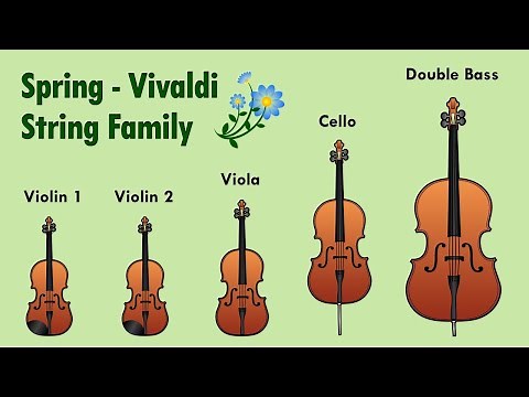 Vivaldi’s Spring Isolated Instruments 🎻