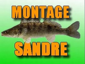 MONTAGE Pêche au sandre