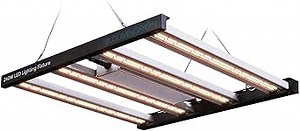 BLOOMINGREEN LED Grow Light for Indoor Plants Full Spectrum, 240W Plant Growing Light with Samsung Diodes, Plant Grow Lamp for Greenhouse Veg Seed, 4-Level Brightness Dimmable, Coverage 2X2/3X3FT