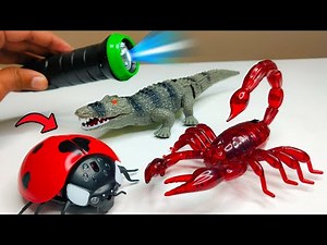 RC Realistic Gubraila Prank Gadget Unbxoxing & Testing - Chatpat toy tv