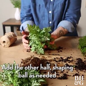 How to Make Kokedama: http://ow.ly/vOCo30iYmxH | Made by Me