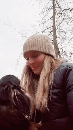 Cute Cats and a Playful Dog in Adorable Home Clips