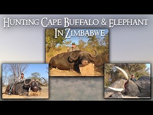 Zimbabwe 2x Cape Buffalo and Elephant
