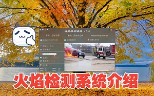 基于深度学习的火焰检测系统演示与介绍