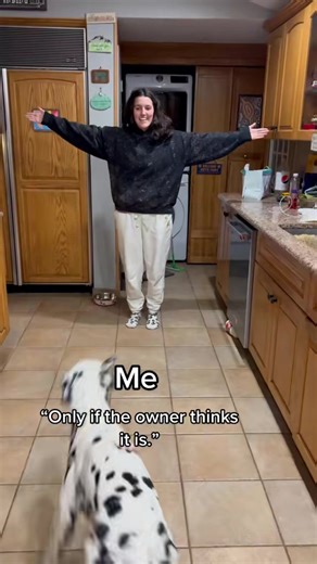 Is your dog jumping up a problem? I don’t care if you don’t care (unless your dog is aggressive then we don’t encourage this).