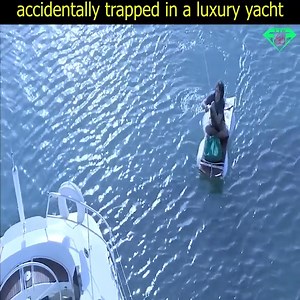 2.9K views · 14 reactions | Top movie Netflix 2023 Watch more: https://www.facebook.com/groups/148320598151013 | Karina Smirnoff | Facebook