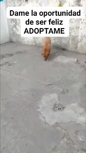 12 reactions · 11 shares | Caso externo Nos piden publicar este caso...