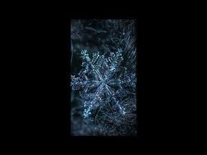 [10+] FREE LOOP KIT / SAMPLE PACK - "ICE" (TRAVIS SCOTT, JACKBOYS, CUBEATZ, HARD)