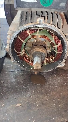 Motor Winding Got Wet? Complete Repair Guide✅