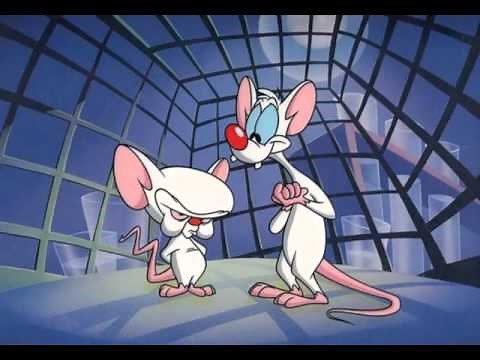 Mignolo col prof - sigla