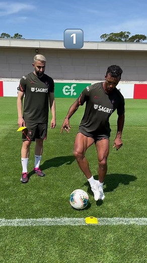 5.1M views · 60K reactions | Nani showed me his footwork skills  | Moalifc | Facebook