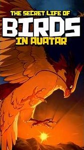 The Many Different Flying Creatures in Avatar the Last Airbender EXPLAINED #ATLA #Comics
