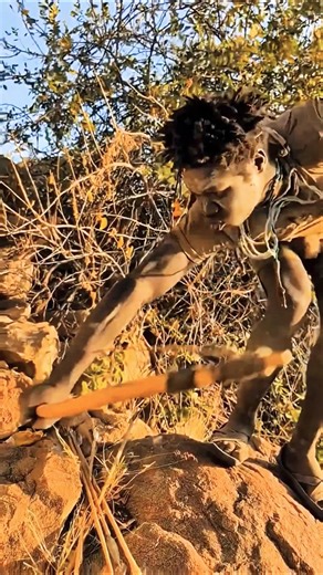 The folloewd the sound Unexpected Cheeah moment O som seguiu um momento inesperado do guepardo.