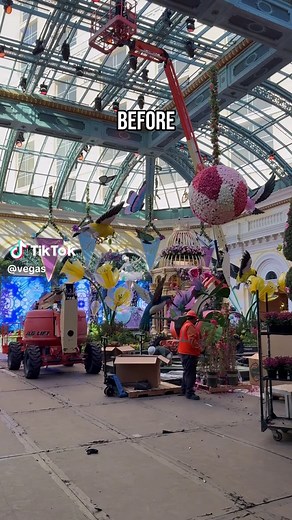 Bellagio Conservatory: Bridgerton Springtime Dream in Las Vegas