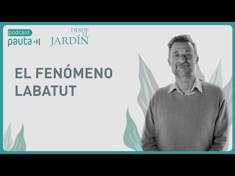 El fenómeno Labatut