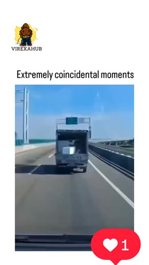 VIREXAHUB on Instagram: "The post features a 1-minute compilation video of split-screen "coincidental moments," showcasing serendipitous synchronizations like a chicken laying an egg timed perfectly with a passing car or traffic lights mirroring pasta shapes, curated by @Rainmaker1973 to evoke wonder through everyday improbabilities. These clips highlight synchronicity, a concept explored in psychology (e.g., Carl Jung's theory of meaningful coincidences), with the video's viral appeal stemming 