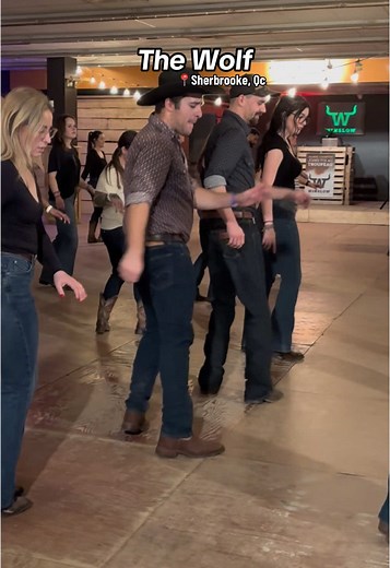Learn The Wolf Line Dance Steps for Fun Nights