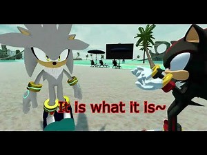 Shadina and Shadow Meet Silver at the Beach - VRChat