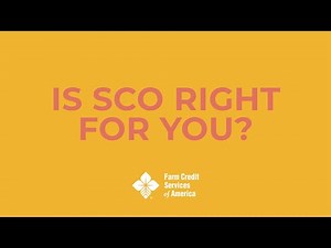 How Supplemental Coverage Option (SCO) for Crop Insurance Works