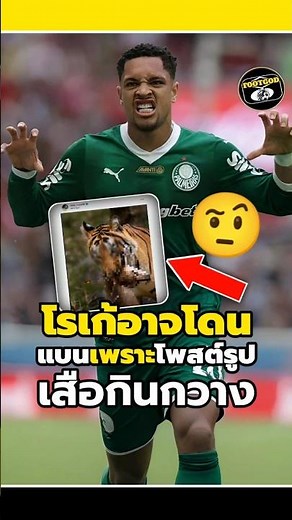 Roque might get banned for posting a picture of a tiger eating a deer?😳🤨 #footballanalysistoday #...