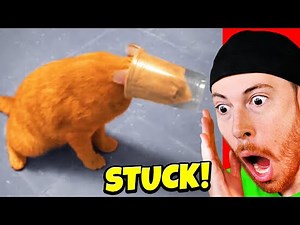 Reacting to the FUNNIEST Animal Fails
