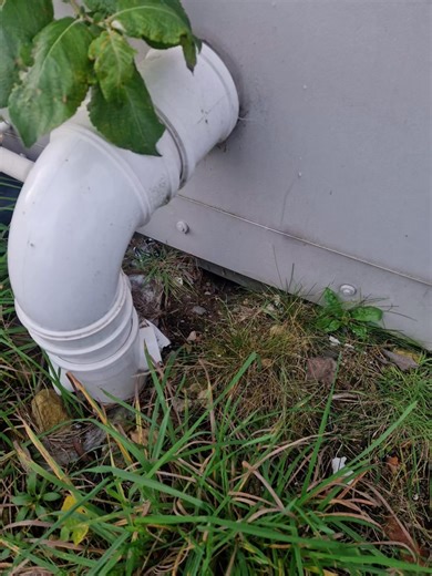 Checking for signs of activity is more than just ticking boxes. A careful visual inspection helps you spot early issues, protect your home, and stay ahead of unwanted pests. At Pest Risk Management we focus on thorough, attentive checks that keep your spaces safe, clean, and rodent-free. Prevention starts with awareness, and a trained eye, watching for small changes every day. Call us today if you see signs of rodent activity 0113 3181 658 #pest #pestmanagement #pestcontrolservice #pestcontrol #