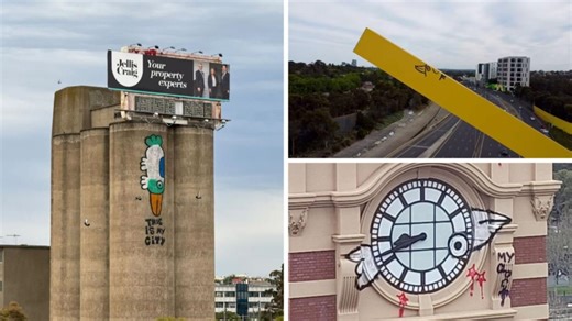 'Pam the bird' graffiti arrest