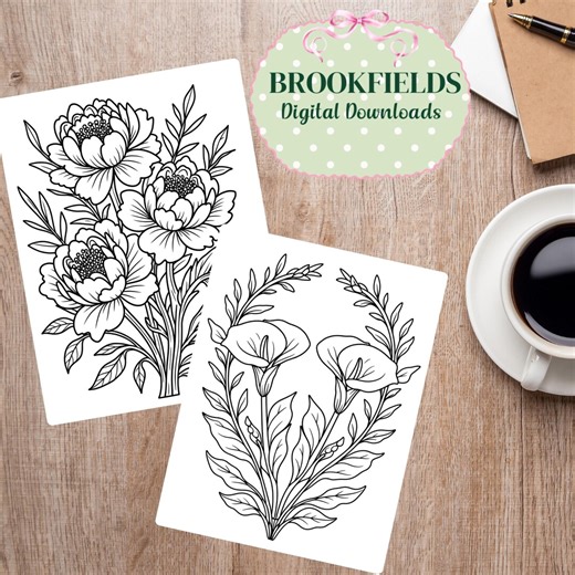 20 Flowers Coloring Pages, Printable PDF for Adults and Kids, Instant Digital Download, Stress Relief Art, Fun DIY Activity Sheets - Etsy