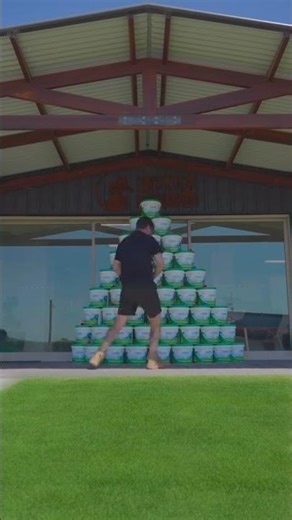 Our kind of Christmas tree! Wishing you all a very Merry Christmas and Happy New Year! 🎄