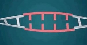 Gene Editing in the Human Body Just Happened for the First Time in the U.S.