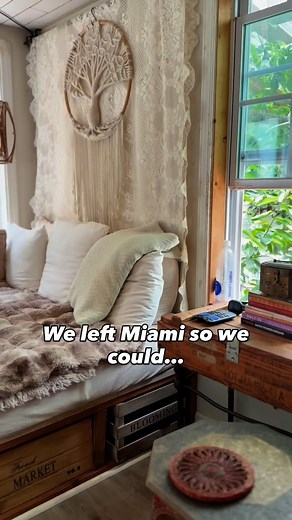 36K views · 2.7K reactions | We left Miami thinking we’d just build a shed-home, adopt a few animals, and finally get some quiet. …fast forward: 30+ cats, 3 dogs, goats, chickens, workshops, and a community of people who want the same crazy life.  | Beloved Cabin | Facebook