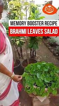 Memory Booster Recipe | Brahmi Leaves Salad | Early Foods