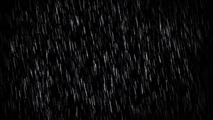 Rain Loop Stock Footage Video (100% Royalty-free) 781732 | Shutterstock