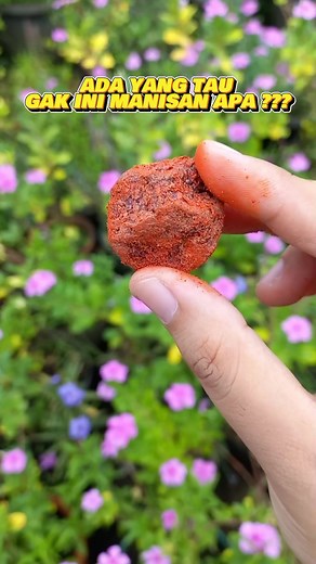 Manisan Kiamboy Merah: Cita Rasa Unik dari Buah Plum