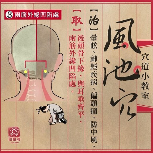 【穴道小教室】舒緩頭昏腦脹：風池穴