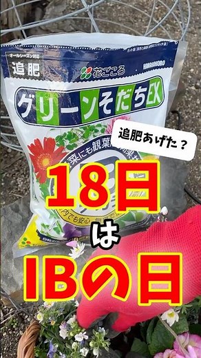 18日＝IBの日！おうちの植物まとめて追肥しちゃいましょう！