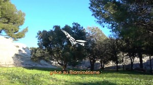 119K views · 129 reactions | MetaFly, le nouveau drone Biomimétique créé en France par un ingénieur Aéronautique ! | Bionic Bird | Facebook