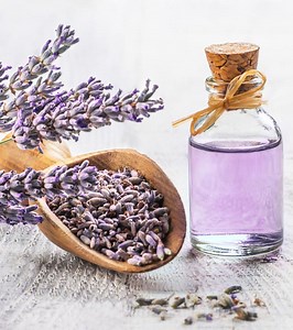 Lavender Oil For Hair Growth: 8 Benefits And How To Use It