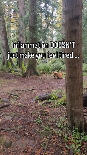 4.5K views · 468 reactions | Inflammation equals...  Increased risk...