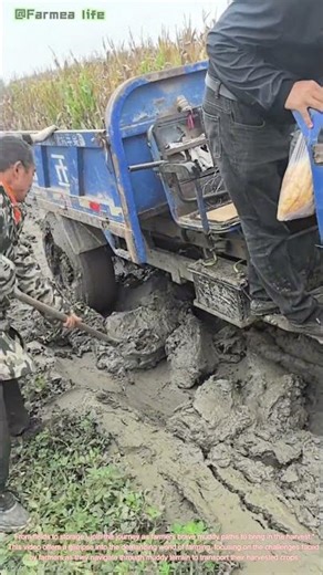 The Challenges of Harvesting: Navigating Muddy Paths 🌾🚜