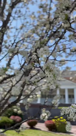 DowntownPB on TikTok