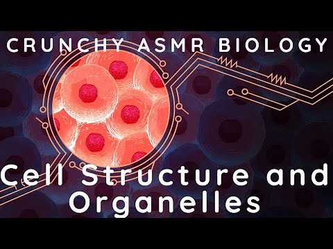 ASMR The Structure of Cells and its organelles ASMR Biology