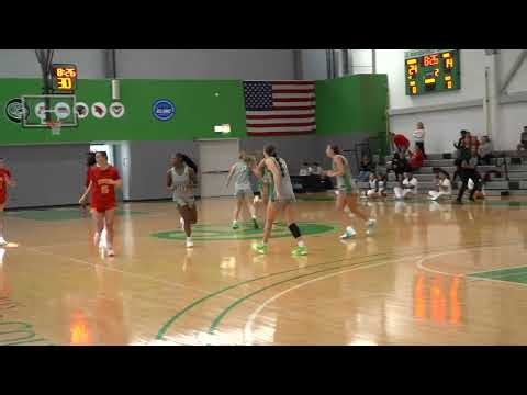 Roosevelt vs. UMSL Women's Basketball Highlights