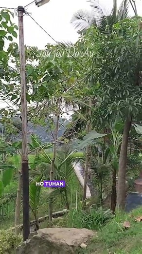 jou-jou do AU Tuhan #kutipankristen #storyrohanikristen #lagurohanibatak