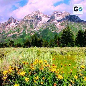 Grand Teton National Park is home to many mountains, rivers, and lakes! | GoTraveler