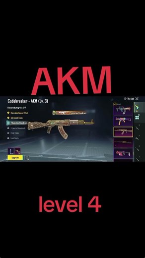 code breaker Akm level 4 done #pubggirl #pubgmobile #pubggirlgaming #upgrade #pubglovers
