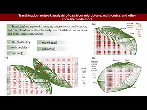 iMeta | ggClusterNet 2: Microbial co-occurrence networks and associated indicator correlation